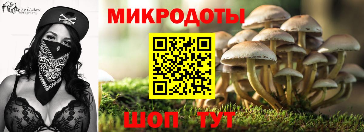 Галлюциногенные грибы прущие грибы  Вход с VPN  Псилоцибиновые грибы ЛСД  Волхов 